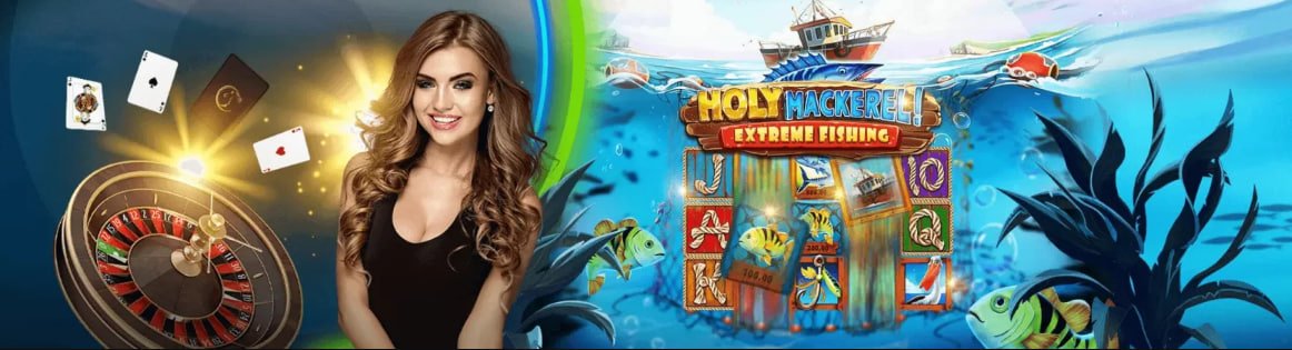 mok365 tính năng cá cược thể thao in-play